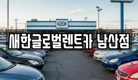 대구광역시 중구 렌트카 전문 새한글로벌렌트카 남산점