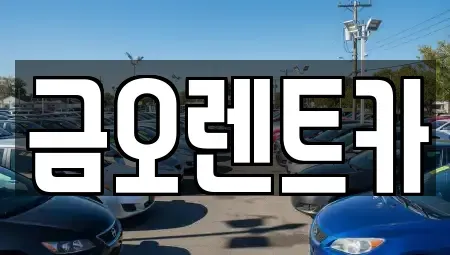 대구광역시 중구 북성로1가 단기렌트카 전문 금오렌트카