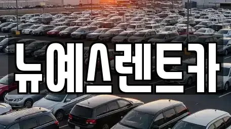 대구광역시 중구 북성로1가 렌트카 전문 뉴예스렌트카