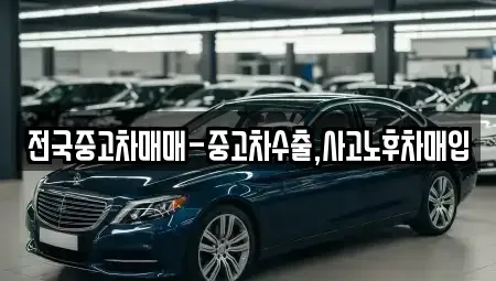 대구광역시 중구 북성로1가 중고차매매,단기렌트카,중고차매입,장기렌트카,중고차,렌트카