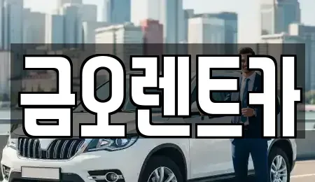대구광역시 중구 서문로1가 렌트카 전문 금오렌트카