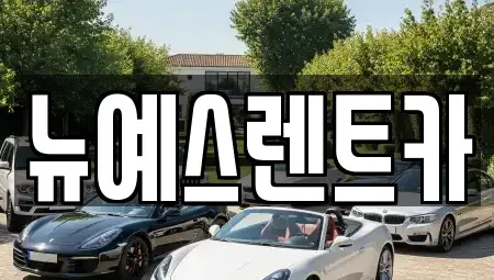 대구광역시 중구 서문로1가 렌트카,단기렌트카,장기렌트카,중고차,중고차매매,중고차매입