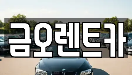 대구광역시 중구 장기렌트카 전문 금오렌트카