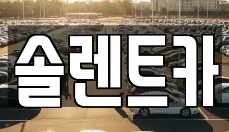 대구광역시 중구 장기렌트카 전문 솔렌트카