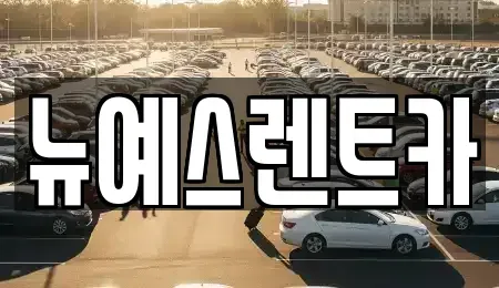 대구광역시 중구 종로2가 렌트카 전문 뉴예스렌트카