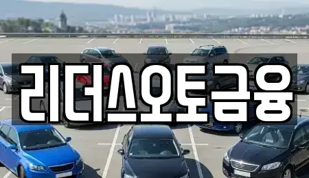 대구광역시 중구 종로2가 렌트카 전문 리더스오토금융