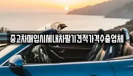 대구광역시 중구 종로2가 중고차 전문 중고차매입시세내차팔기견적가격수출업체