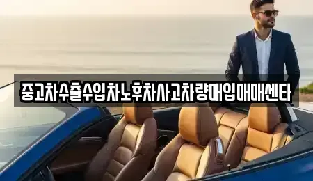 대구광역시 중구 중고차 전문 중고차수출수입차노후차사고차량매입매매센타