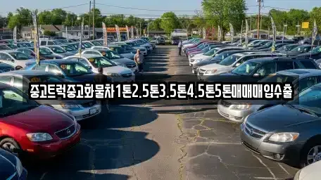 대구광역시 중구 중고차 전문 중고트럭중고화물차1톤2.5톤3.5톤4.5톤5톤매매매입수출
