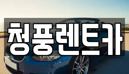대전 대덕구 갈전동 렌트카 전문 청풍렌트카