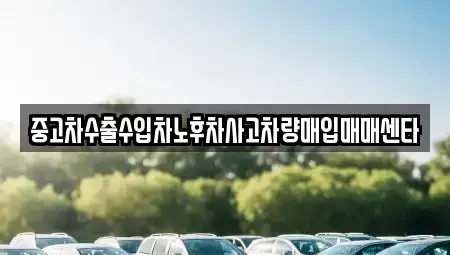 대전 동구 가양동 중고차 전문 중고차수출수입차노후차사고차량매입매매센타