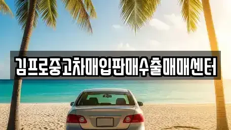 대전 동구 중고차 전문 김프로중고차매입판매수출매매센터
