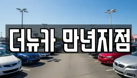 대전 유성구 도룡동 단기렌트카 전문 더뉴카 만년지점