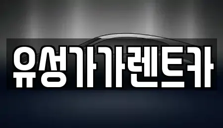 대전 유성구 도룡동 렌트카 전문 유성가가렌트카