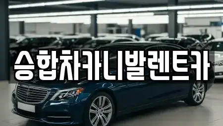 대전 유성구 신성동 렌트카 전문 승합차카니발렌트카
