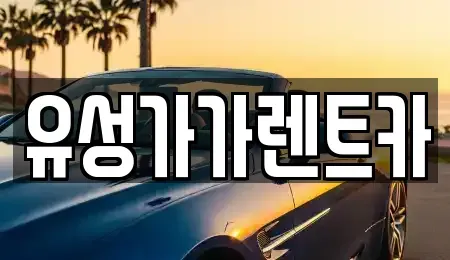 대전 유성구 신성동 렌트카 전문 유성가가렌트카