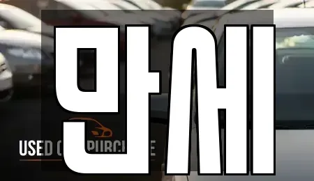 대전 중구 산성동 렌트카 전문 만세
