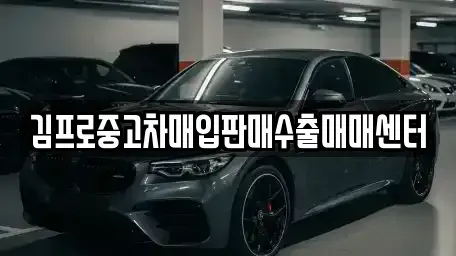 대전 중구 산성동 중고차 전문 김프로중고차매입판매수출매매센터