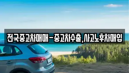대전 중구 산성동 중고차 전문 전국중고차매매-중고차수출,사고노후차매입