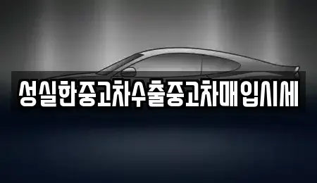 대전 중구 산성동 중고차매입 전문 성실한중고차수출중고차매입시세