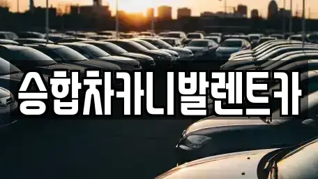 대전 중구 유천동 렌트카 전문 승합차카니발렌트카