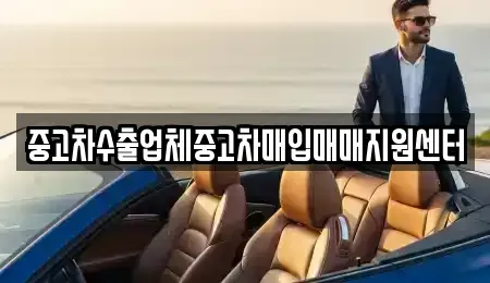 대전 중구 유천동 중고차매매 전문 중고차수출업체중고차매입매매지원센터