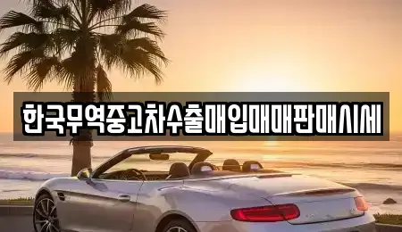 대전 중구 유천동 중고차매매 전문 한국무역중고차수출매입매매판매시세