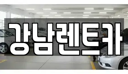 대전광역시 대덕구 문평동 렌트카 전문 강남렌트카