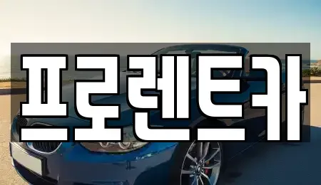 대전광역시 대덕구 문평동 장기렌트카 전문 프로렌트카