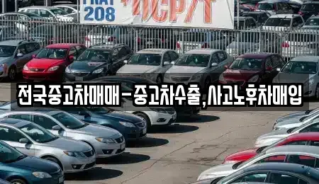 대전광역시 대덕구 문평동 중고차 전문 전국중고차매매-중고차수출,사고노후차매입