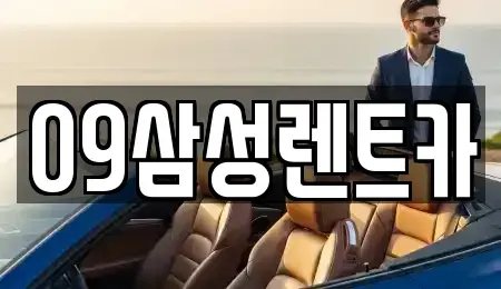 대전광역시 대덕구 중리동 렌트카 전문 09삼성렌트카