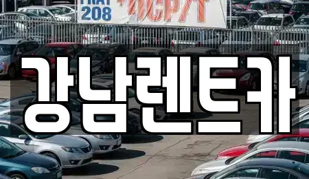 대전광역시 대덕구 평촌동 렌트카 전문 강남렌트카
