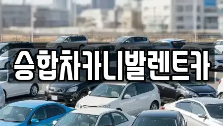 대전광역시 대덕구 평촌동 렌트카 전문 승합차카니발렌트카