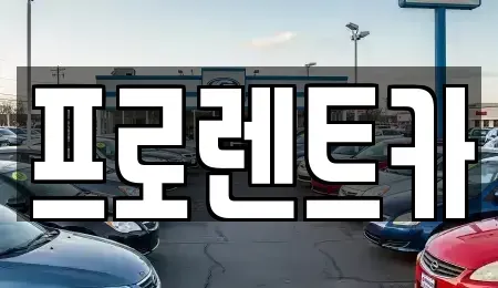 대전광역시 대덕구 평촌동 렌트카 전문 프로렌트카