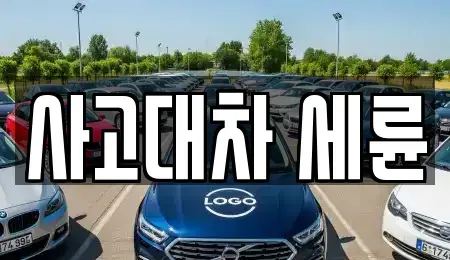 대전광역시 동구 정동 렌트카 전문 사고대차 세륜