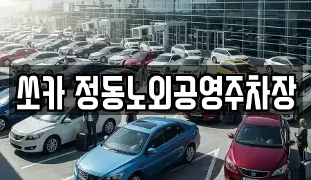 대전광역시 동구 정동 렌트카 전문 쏘카 정동노외공영주차장