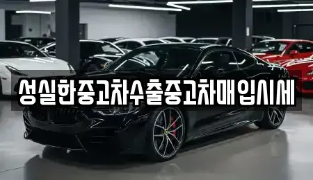 대전광역시 동구 정동 중고차매매,단기렌트카,중고차매입,장기렌트카,중고차,렌트카
