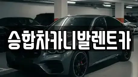 대전광역시 동구 직동 렌트카 전문 승합차카니발렌트카