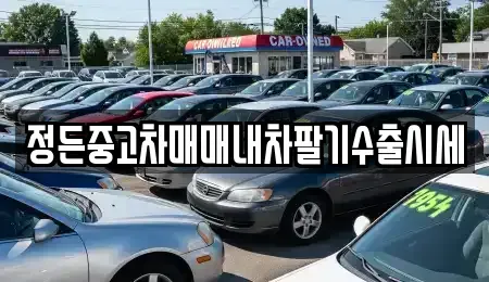 대전광역시 동구 직동 중고차매매 전문 정든중고차매매내차팔기수출시세