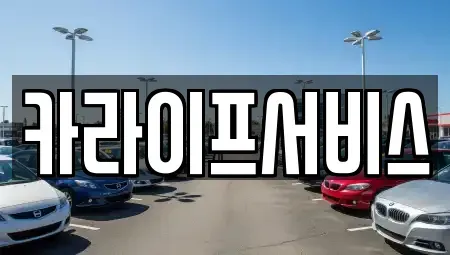 대전광역시 서구 도마동 렌트카 전문 카라이프서비스