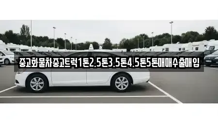 대전광역시 서구 도마동 중고차매매 전문 중고화물차중고트럭1톤2.5톤3.5톤4.5톤5톤매매수출매입