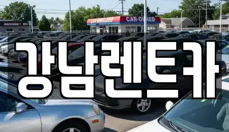 대전광역시 서구 변동 렌트카 전문 강남렌트카