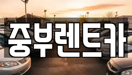 대전광역시 유성구 구성동 렌트카 전문 중부렌트카
