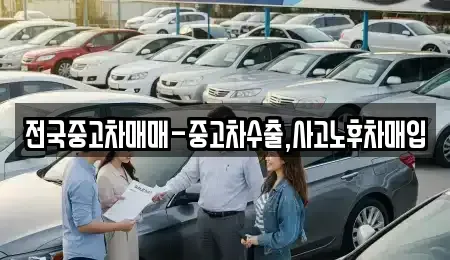 대전광역시 유성구 복용동 중고차매입 전문 전국중고차매매-중고차수출,사고노후차매입