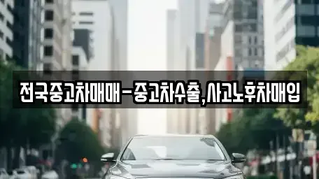 대전광역시 유성구 상대동 중고차 전문 전국중고차매매-중고차수출,사고노후차매입
