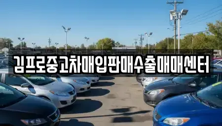 대전광역시 유성구 상대동 중고차매입 전문 김프로중고차매입판매수출매매센터