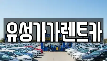 대전광역시 유성구 어은동 렌트카 전문 유성가가렌트카