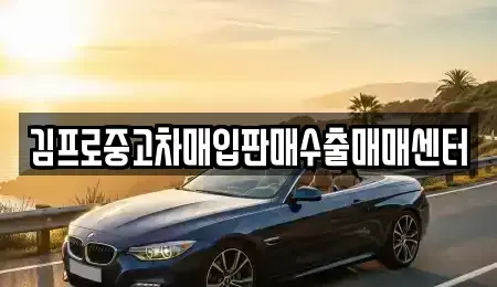 대전광역시 유성구 어은동 중고차매입 전문 김프로중고차매입판매수출매매센터