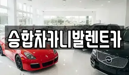 대전광역시 중구 무수동 렌트카 전문 승합차카니발렌트카