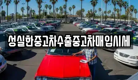 대전광역시 중구 석교동 중고차매입 전문 성실한중고차수출중고차매입시세